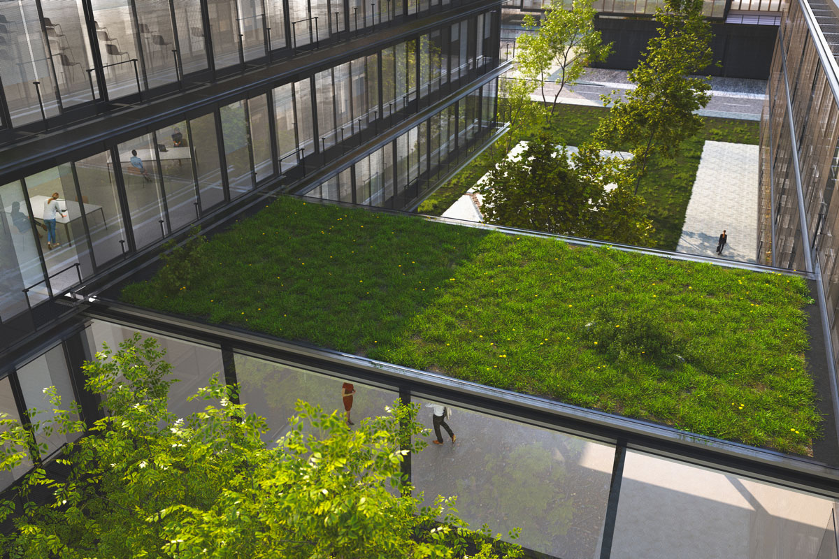 A sustainable green office building with a green roof