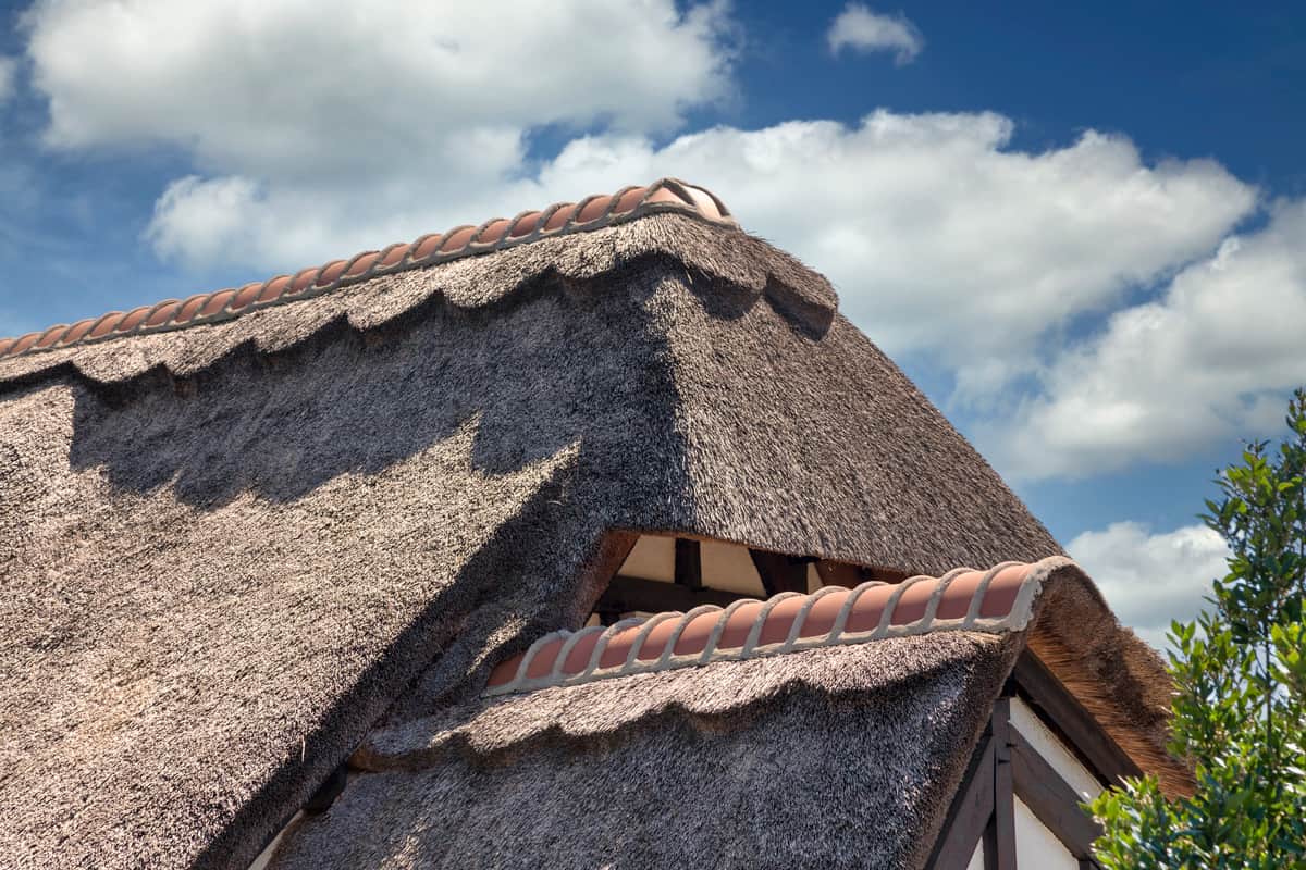 Close-up on the edge of a thatched roof in France.