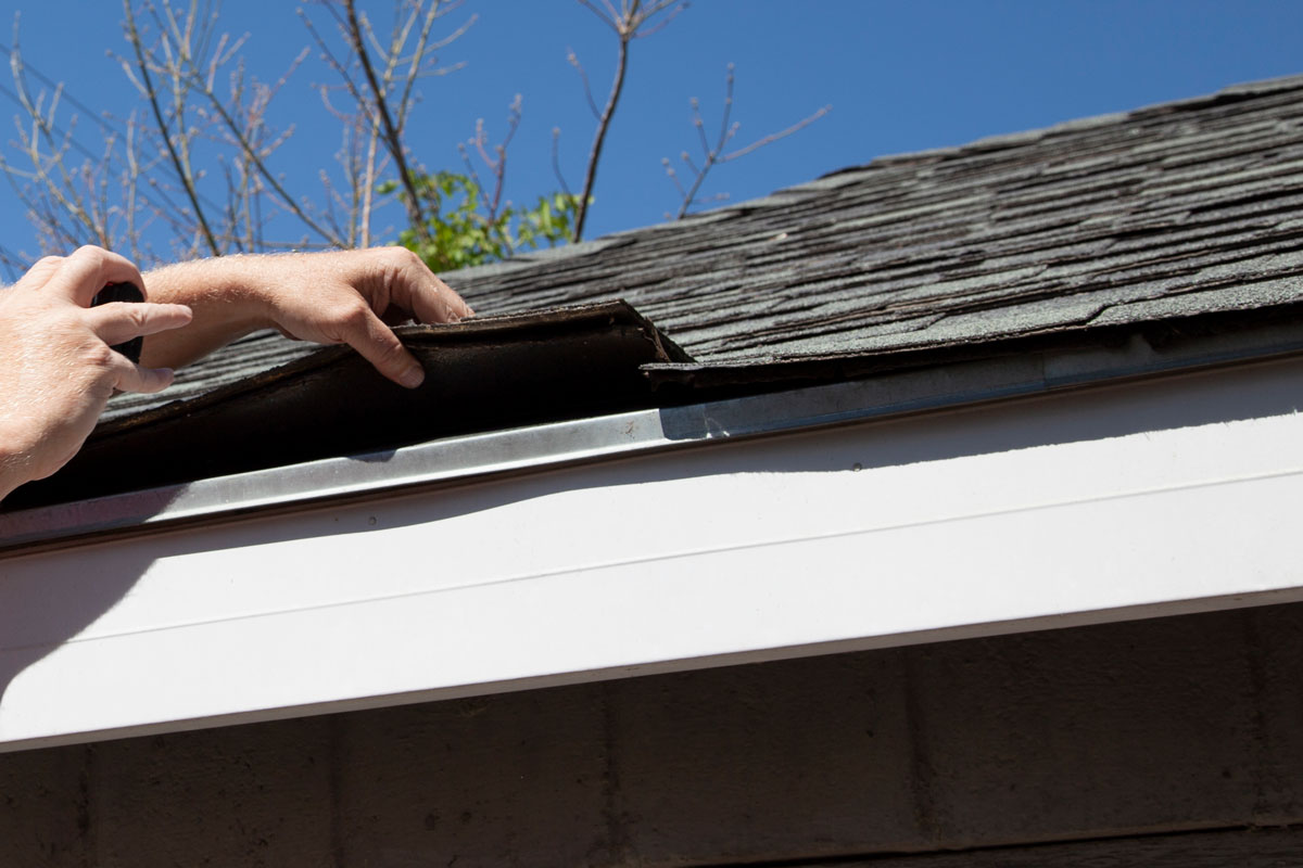 Roof Shingle Inspection