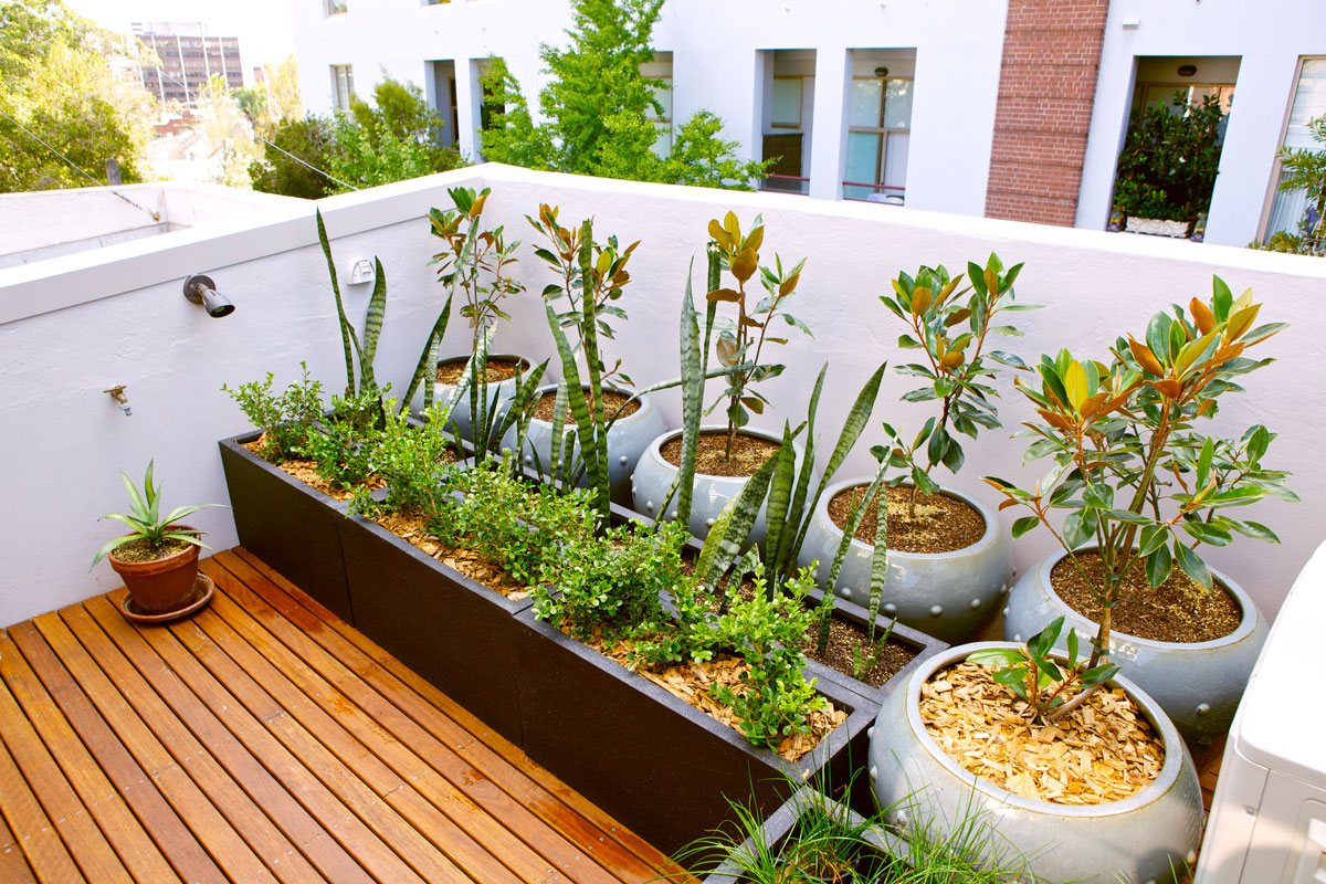 Urban roof terrace with full of plants