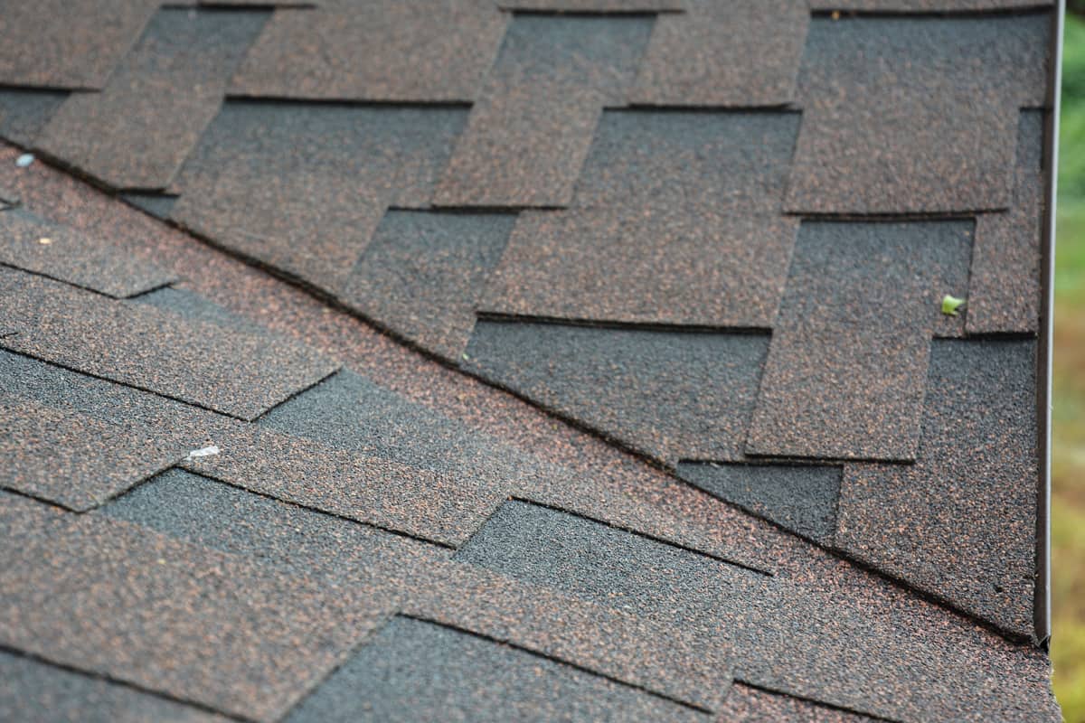 Detailed photo of brown asphalt shingle roofing