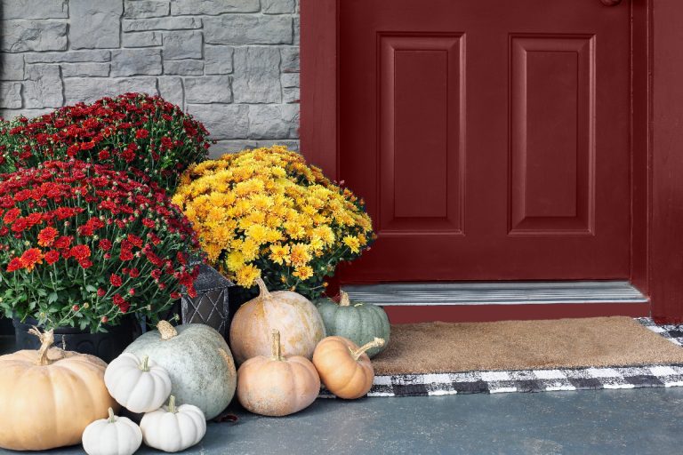 A heirloom white, orange and grey pumpkins with colorful mums sitting by front door, Top Exterior Paint Colors By Joanna Gaines