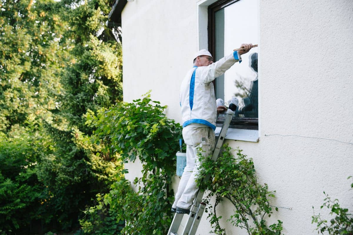 House painter paints the window frame from the outside.
