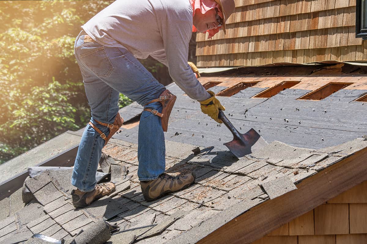 Man removing old shingles on roof