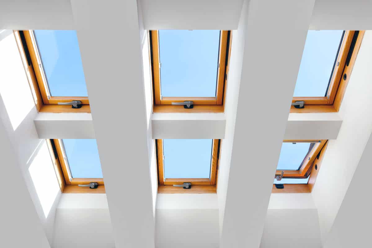 photo of a group-six-skylights-windows-large-luxury
