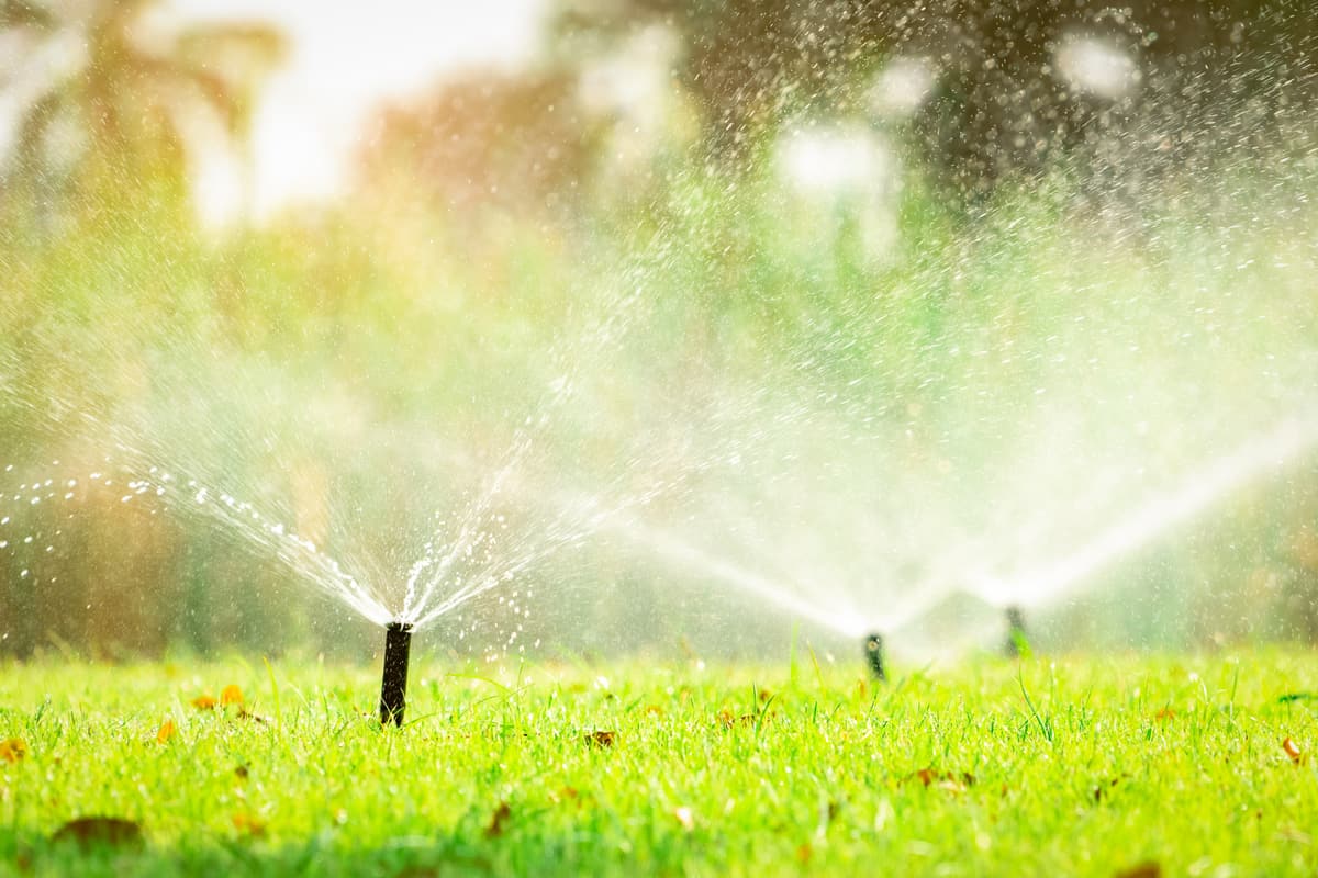 Automatic lawn sprinkler watering green grass. Sprinkler with automatic system.