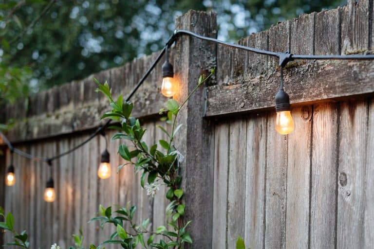 Backyard fence with string lights on a summer evening, Can Outdoor Light Plugs Get Wet?