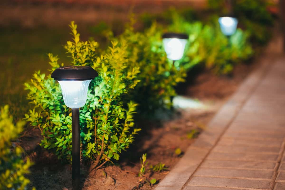 Do You Need a Special Photocell For LED Lights - Decorative Small Solar Garden Light, Lanterns In Flower Bed In Green Foliage