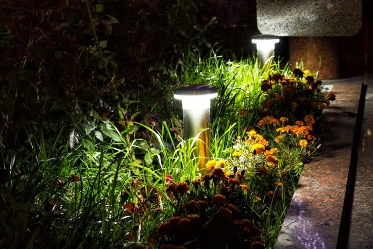 Illuminated Garden by LED Lighting, How Do I Replace A Photocell On Outdoor Lighting?