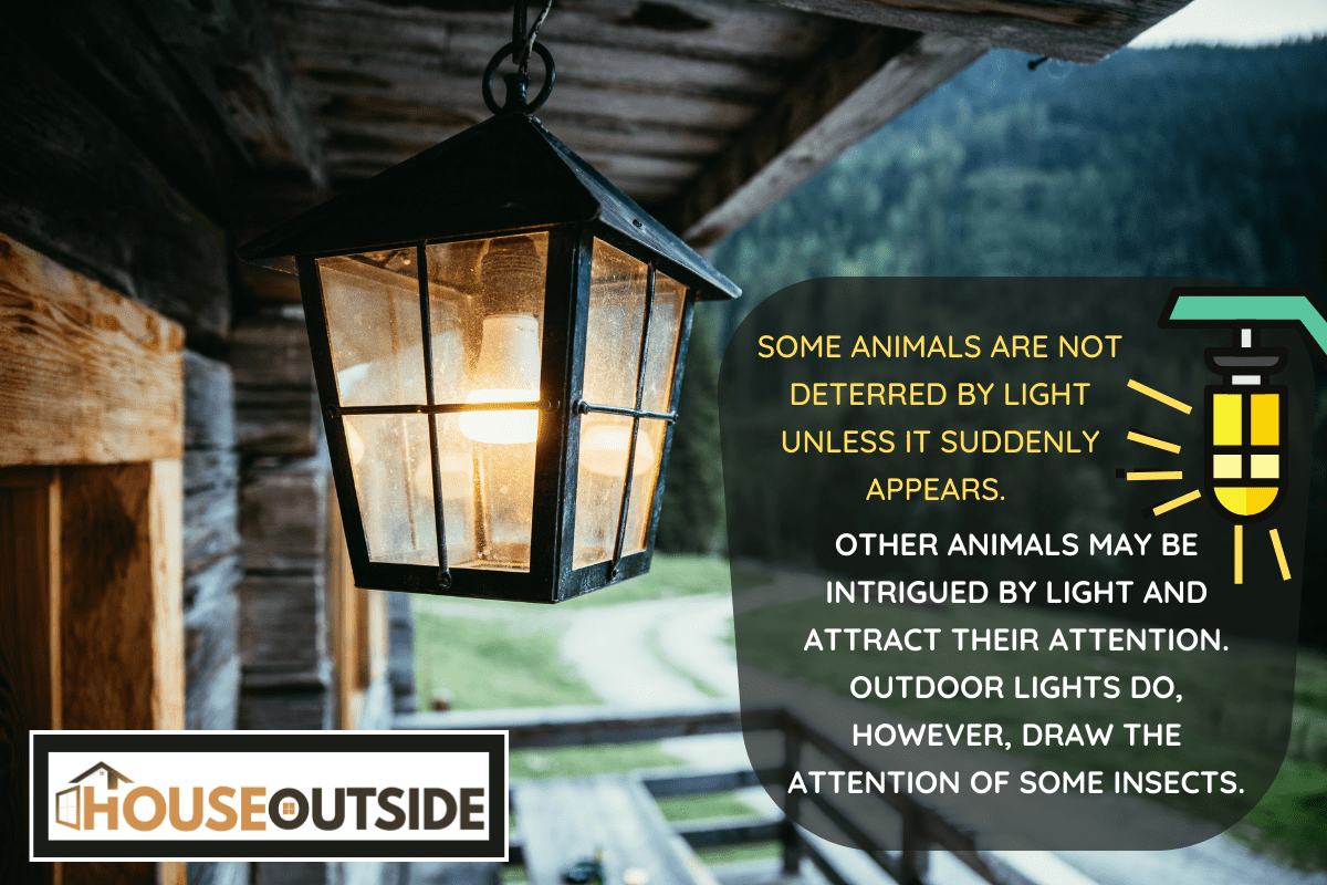 Rustic lantern is shining over the veranda, alpine hut. - Do Porch Lights Attract Animals?