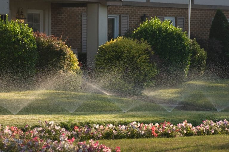 The spray from these lawn sprinklers glowed in the early morning light in this suburban neighborhood. Flower bed in foreground., How To Open Home Irrigation System?