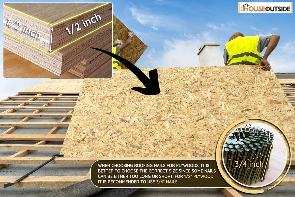 Man holding in plywood or osb panel on modern building rooftop, What Size Roofing Nails For 1/2 Plywood?