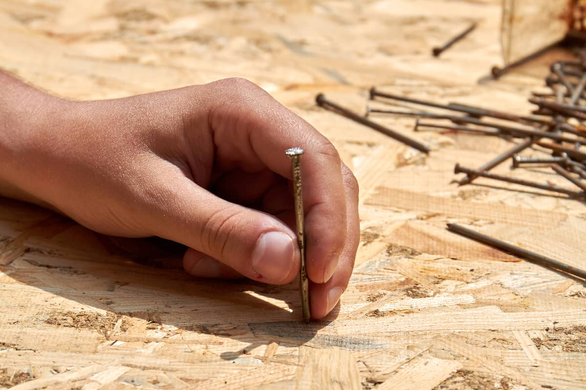 Young hand holding the nail to hammer it into plywood surface