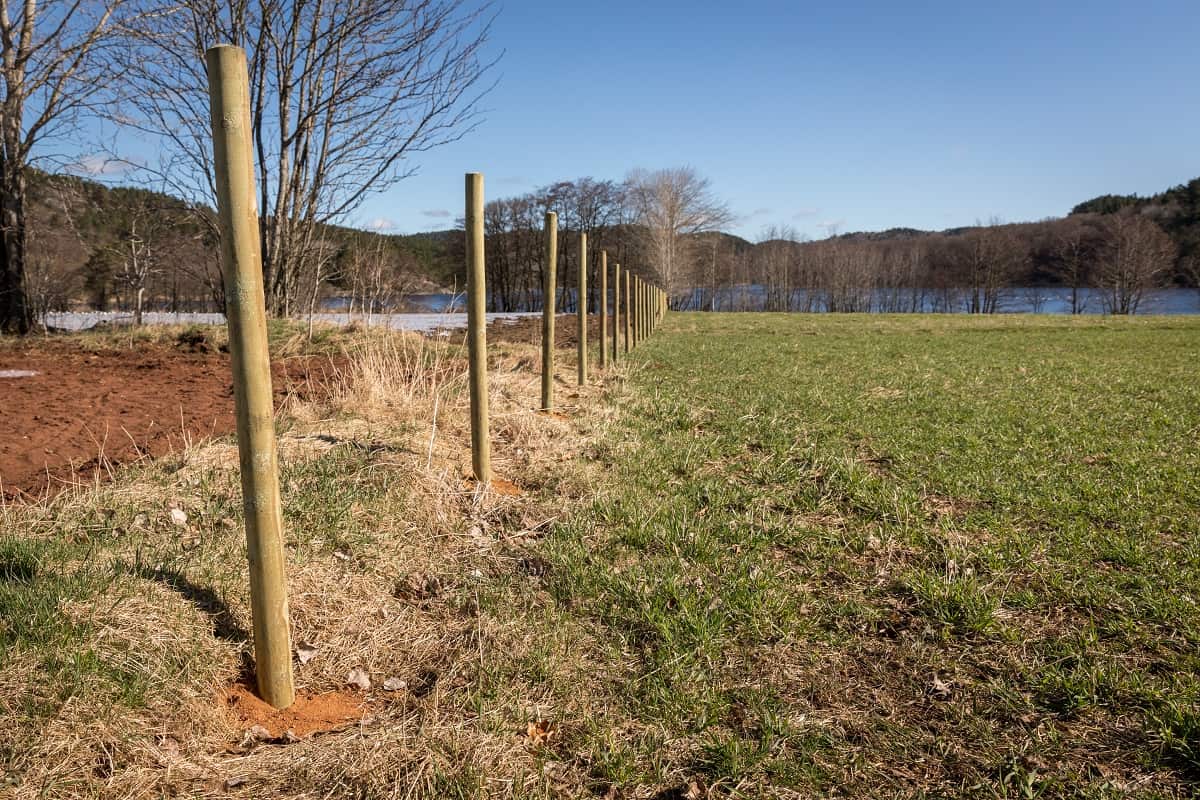 New wooden fence posts on a field.