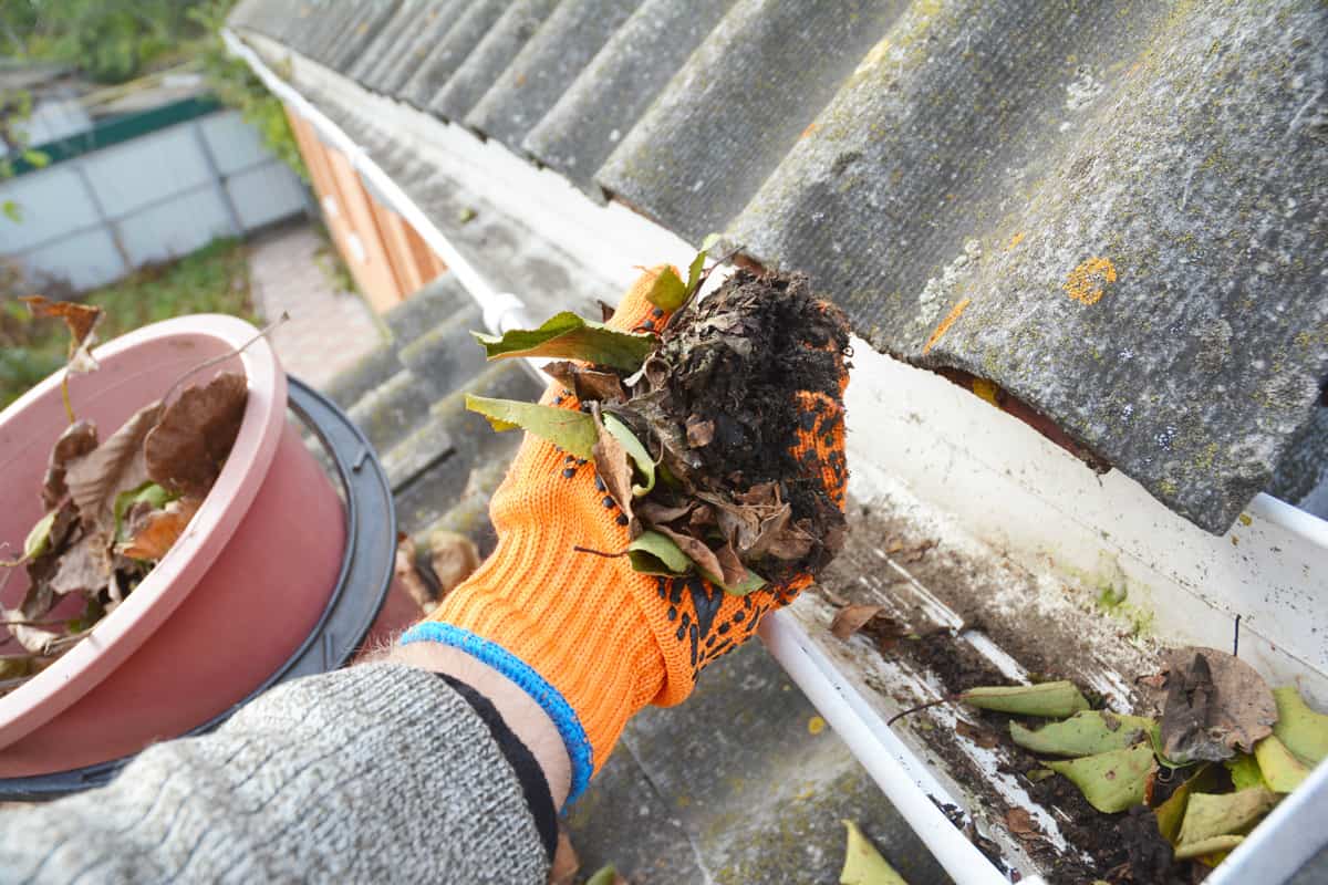 Roof Gutter Cleaning Tips. Clean Your Gutters. Gutter Cleaning.