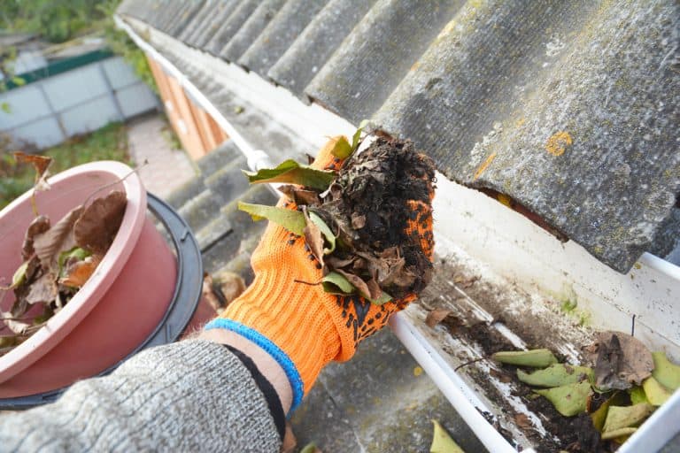 Roof Gutter Cleaning Tips. Clean Your Gutters. Gutter Cleaning., Do Gutters Smell? [And What To Do About It]